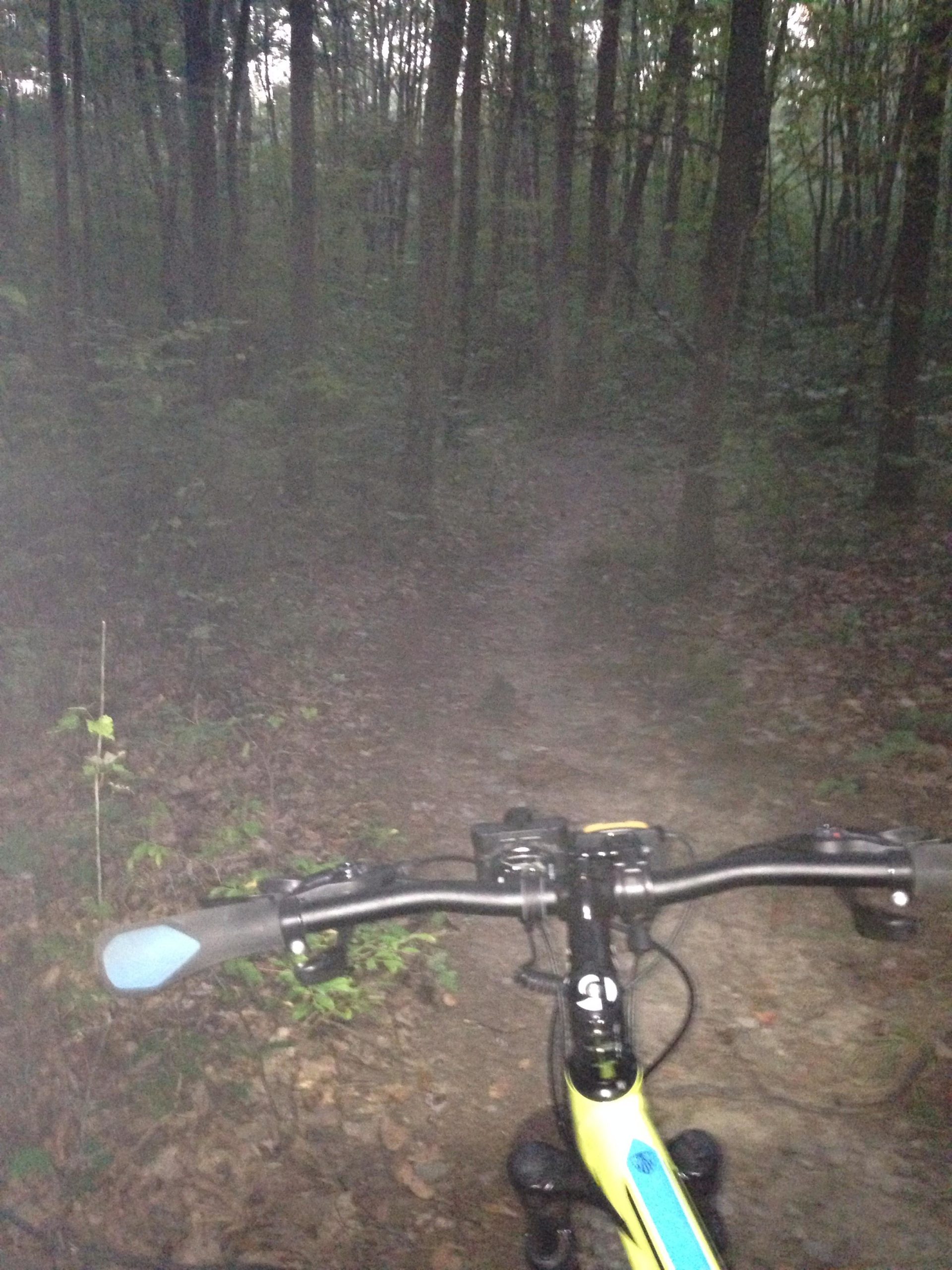 Mountain bike handlebars in the foreground, with a narrow, winding trail disappearing into a dense, foggy forest. Trees frame the path, which is covered in fallen leaves and surrounded by lush greenery. The photo is taken during low light conditions, adding a mysterious ambiance to the scene. Moon Lake Park mountain bike trail.