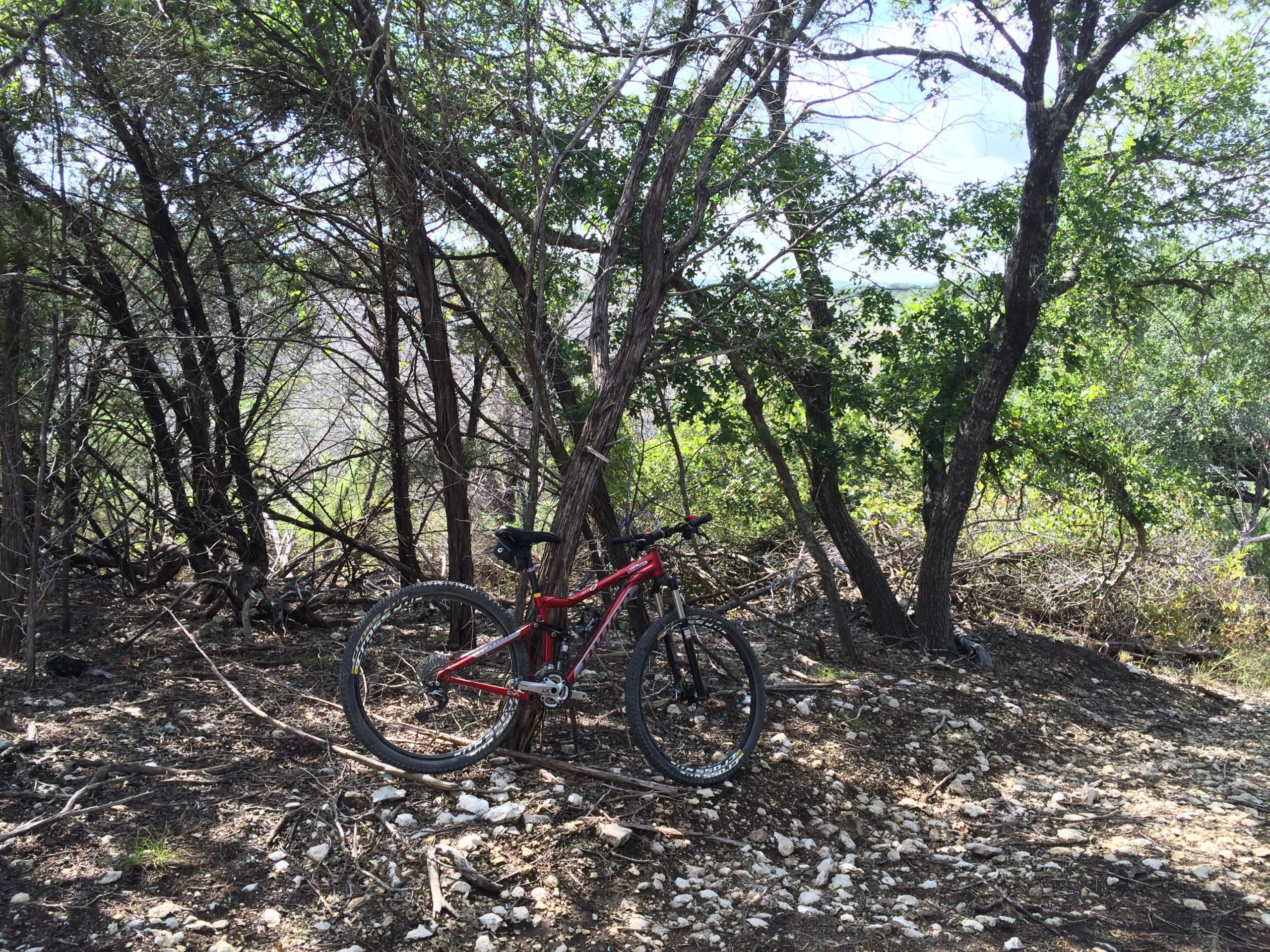 A red mountain bike leaning against a tree in a wooded area, surrounded by greenery and rocky soil. Dana Peak mountain bike trail.