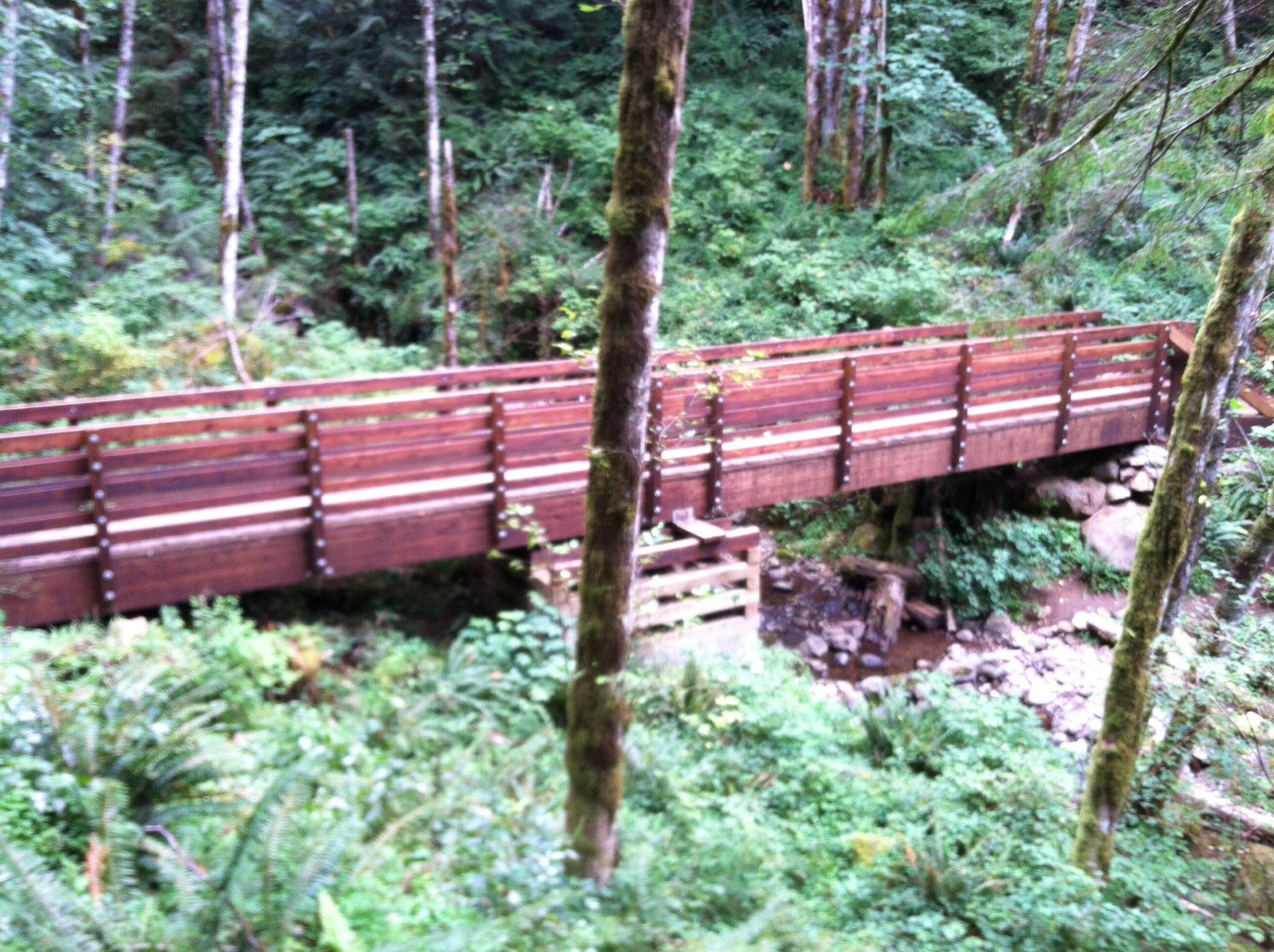 A wooden footbridge spans a small stream, surrounded by lush greenery and tall trees in a forested area. The scene captures the tranquility of nature with ferns and undergrowth visible on either side of the bridge. Sandy Ridge mountain bike trail.