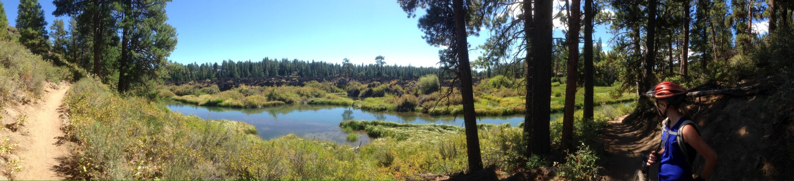 A panoramic view of a serene river surrounded by lush greenery and tall pine trees, with a dirt bike trail visible in the foreground. A person wearing a helmet and a blue shirt stands near the path, gazing towards the water and the natural scenery under a clear blue sky. Deschutes River mountain bike trail.