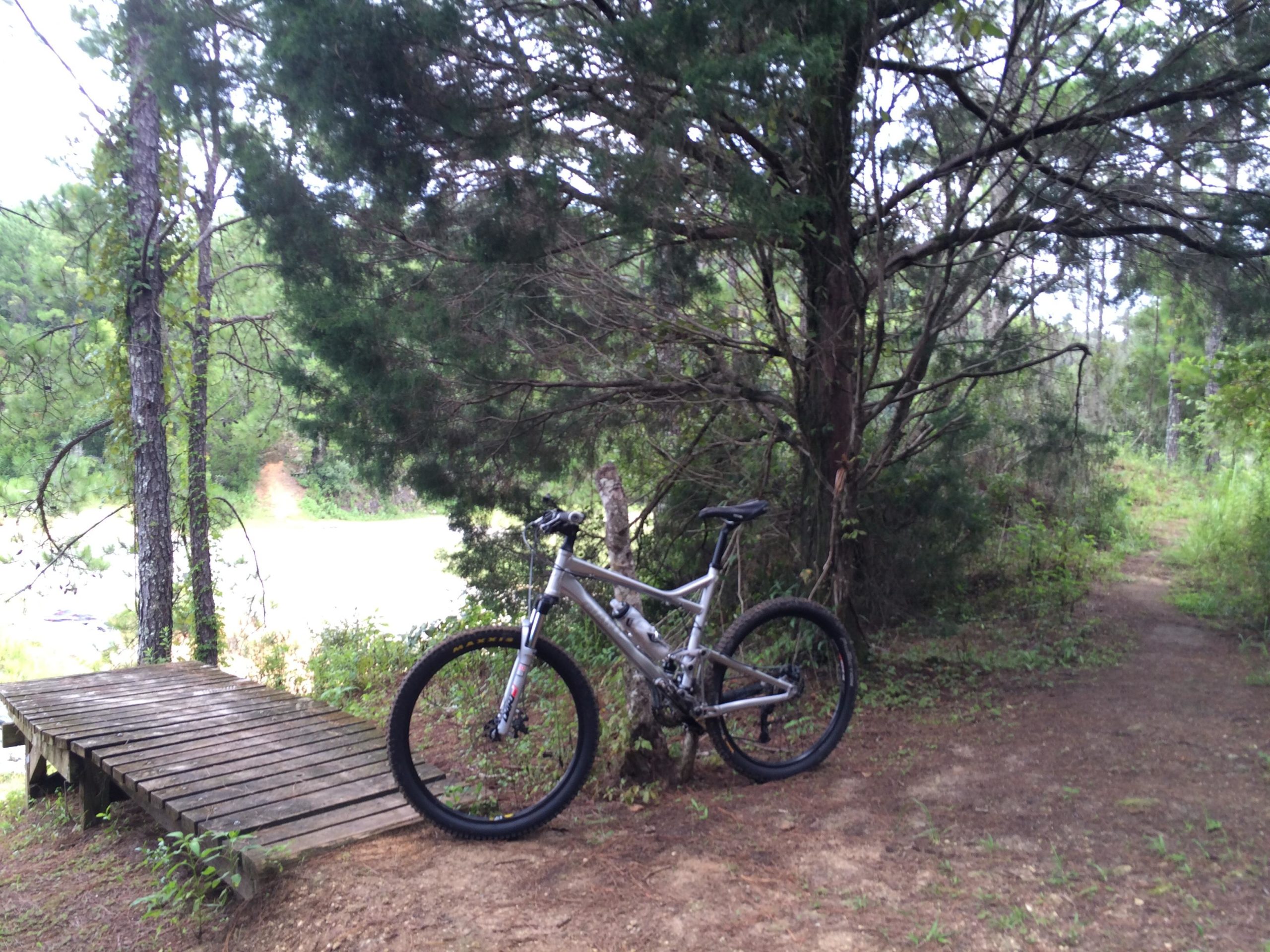 A mountain bike rested against a tree near a wooden platform, surrounded by green foliage and a dirt path leading into the woods. The scene captures a tranquil outdoor setting, ideal for biking and exploring nature. Santos mountain bike trail.