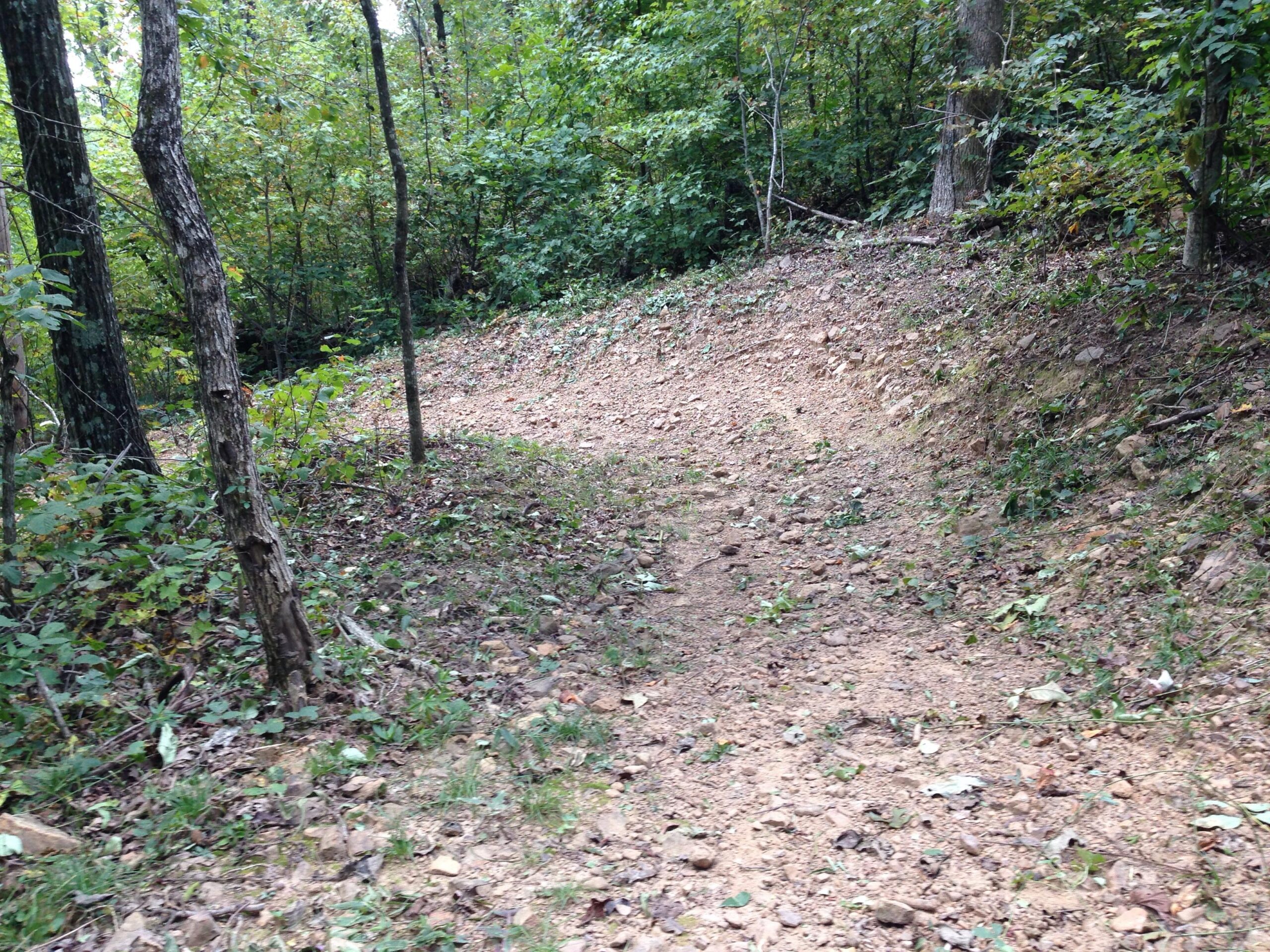 A winding dirt path through a wooded area, surrounded by trees and lush greenery. The trail is slightly uneven, with patches of exposed soil and small rocks visible along the edges. Upper Buffalo Headwaters Trail System mountain bike trail.