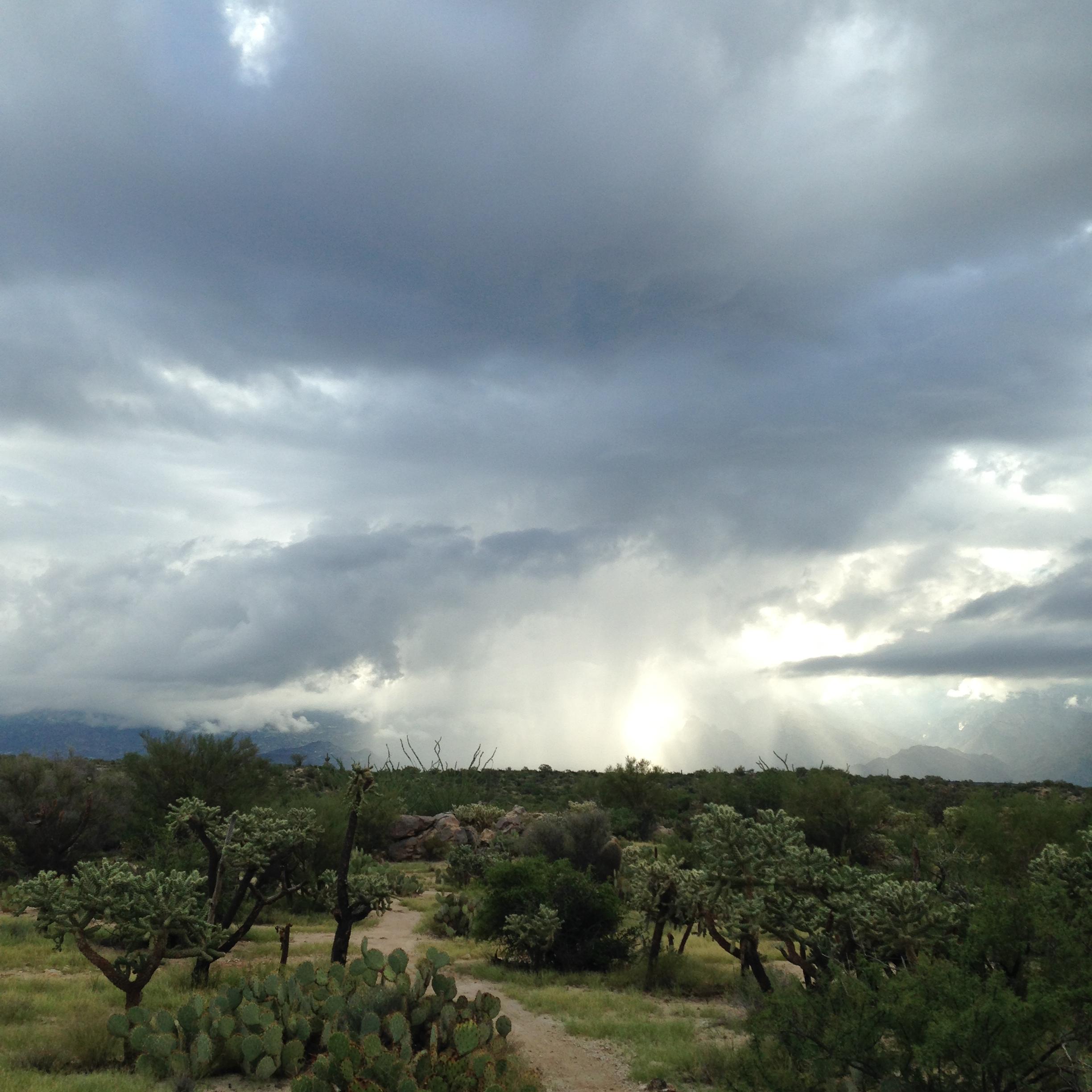 A desert landscape featuring cacti and shrubs, under a dramatic sky filled with dark, swirling clouds. In the background, a rain shower can be seen falling, illuminated by sunlight breaking through the clouds. A dirt path winds through the foreground, inviting exploration of this natural setting. Honeybee Canyon / Rail X Ranch mountain bike trail.