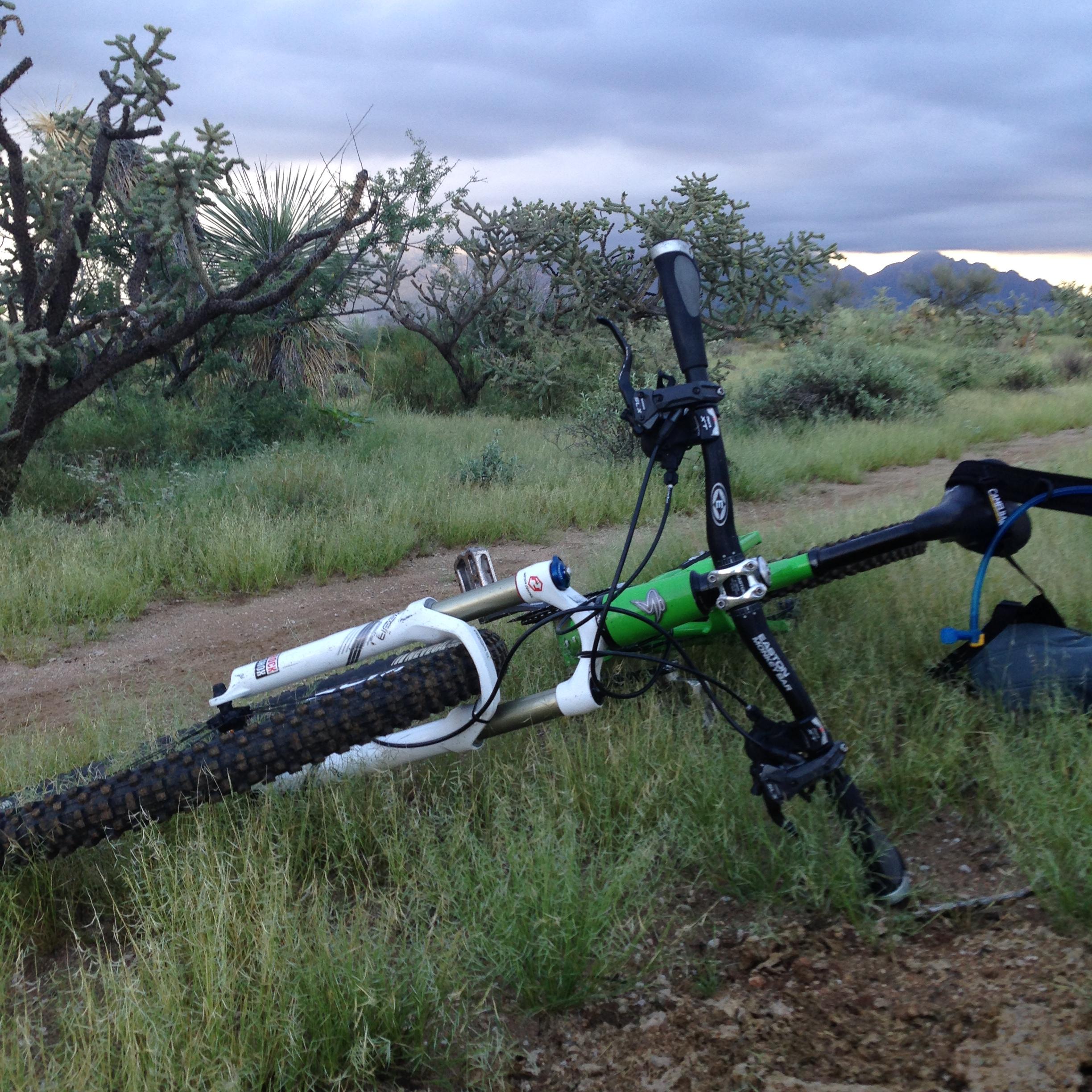 Alt text: A mountain bike lies on its side on a dirt path surrounded by green vegetation and desert plants, with mountains visible in the background under a cloudy sky. Honeybee Canyon / Rail X Ranch mountain bike trail.