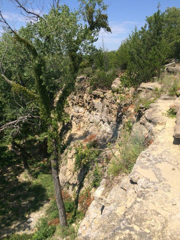 A rocky cliff edge surrounded by greenery, featuring several trees and shrubs, under a clear blue sky. The landscape shows a natural area with a mix of rocky formations and vegetation. Camp Horizon mountain bike trail.