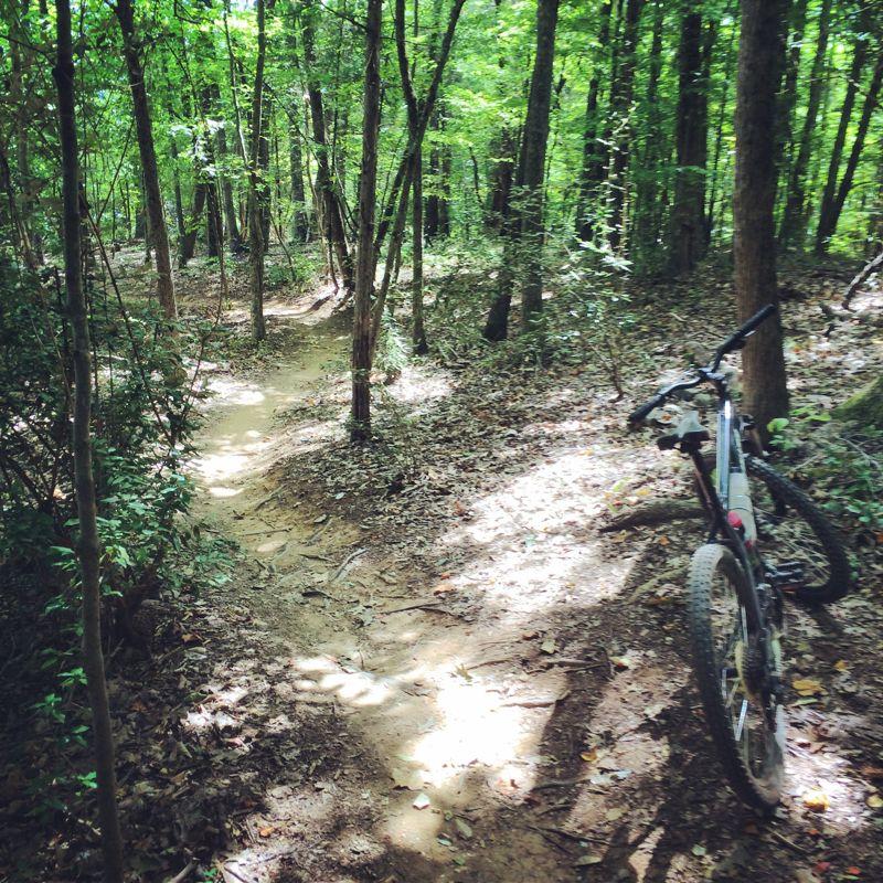 A mountain bike resting on a dirt trail surrounded by lush green trees in a forest. Sunlight filters through the leaves, casting patches of light on the ground along the winding path. Blue Heron mountain bike trail.