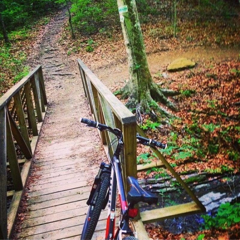 A mountain bike is resting on a wooden bridge crossing a small stream in a forested area. A dirt path leads into the trees, with scattered leaves covering the ground. The scene is serene and surrounded by lush greenery. Eagle Scout Trail mountain bike trail.
