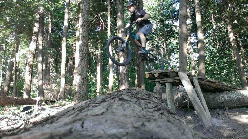 A mountain biker in a black helmet and gear is mid-air, jumping off a wooden ramp in a wooded area. The scene features tall trees and uneven terrain, highlighting an outdoor biking trail designed for stunts. Bronte Creek North Trail mountain bike trail.