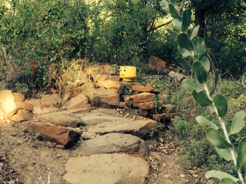 A bright yellow container with a smiley face placed on a rocky path in a green, wooded area. Surrounding foliage includes trees and plants, creating a natural setting. Northshore Trail mountain bike trail.
