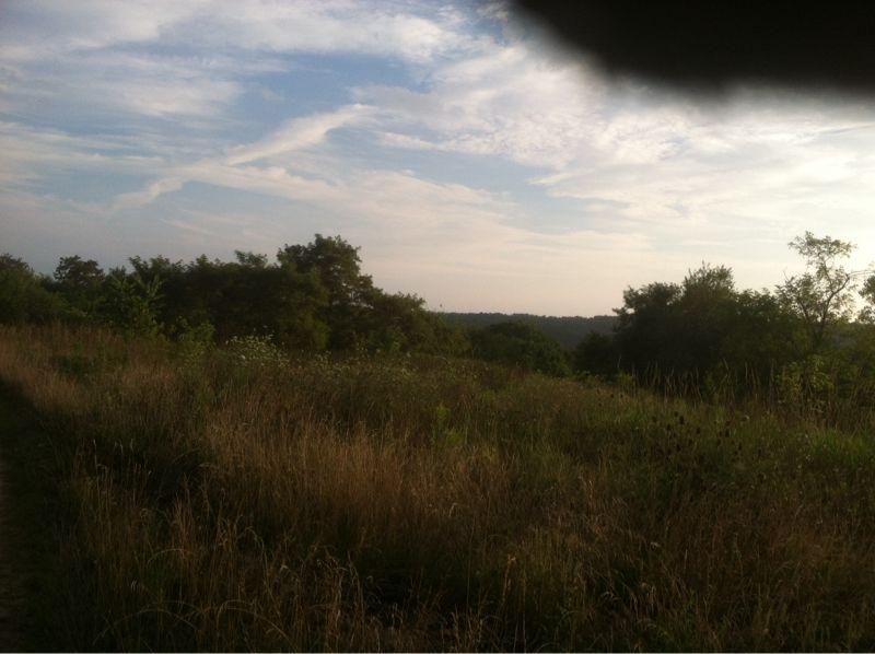 A serene landscape featuring a grassy field with wildflowers, bordered by trees. The scene is set against a backdrop of rolling hills and a cloudy sky, conveying a sense of tranquility and natural beauty. Vultures Knob mountain bike trail.