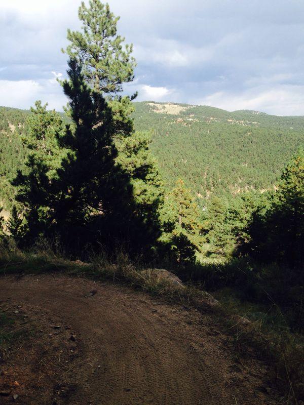 A dirt path winding through a forest with tall pine trees, leading down to a lush green valley surrounded by mountains under a partially cloudy sky. Betasso Preserve mountain bike trail.