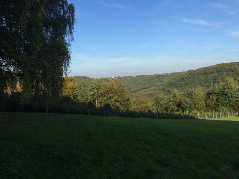 A panoramic view of a lush green landscape featuring rolling hills, dense forests, and a clear blue sky, with a grassy foreground and a few trees on the left side. The scene captures the tranquility of nature and showcases the varied shades of green throughout the hills. Wald mountain bike trail.