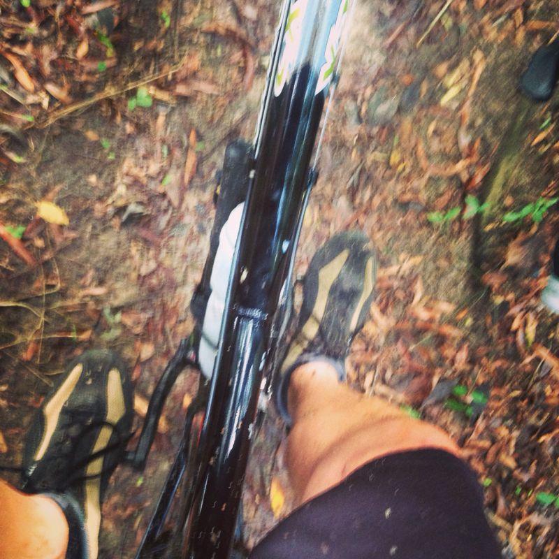 Close-up view of a cyclist's feet in specialized shoes on a bike, surrounded by a forest trail covered with leaves and dirt. The bike frame is visible, highlighting the pedal system. Sherman Branch Park Mtb Trail mountain bike trail.