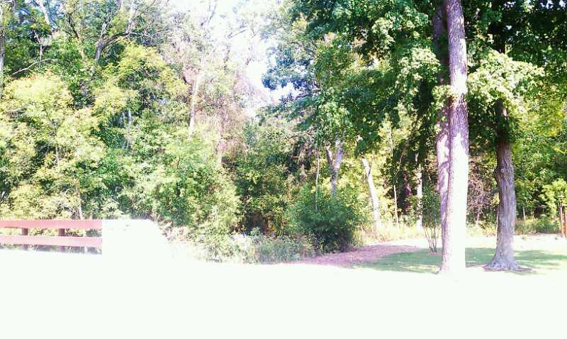 A scenic view of a lush, green forest, featuring tall trees and dense foliage. In the foreground, there is a wooden fence, with a pathway leading into the woods. The sunlight filters through the leaves, illuminating the vibrant greenery. Petrifying Springs mountain bike trail.