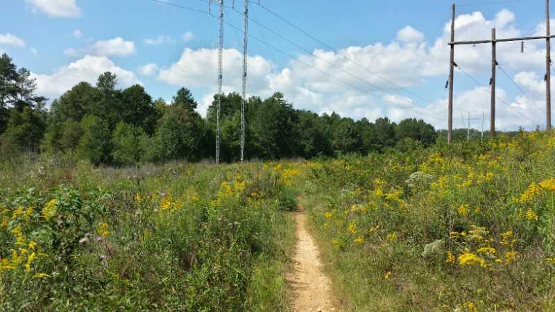 A dirt path winding through a field filled with wildflowers, bordered by tall grass and trees. Power lines run parallel to the path under a blue sky with fluffy clouds. Dawson Forest mountain bike trail.