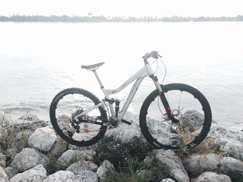 A mountain bike resting on rocks by the water's edge, with a calm lake and blurred scenery in the background. Oleta River State Park mountain bike trail.