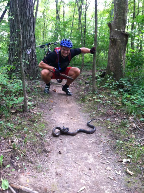 A person squatting on a dirt trail in the woods, wearing a blue helmet and athletic gear, poses playfully with a stick while a snake lies on the path in front of them. A mountain bike is leaning against a tree nearby, and the surrounding area is lush with greenery. Kickapoo mountain bike trail.