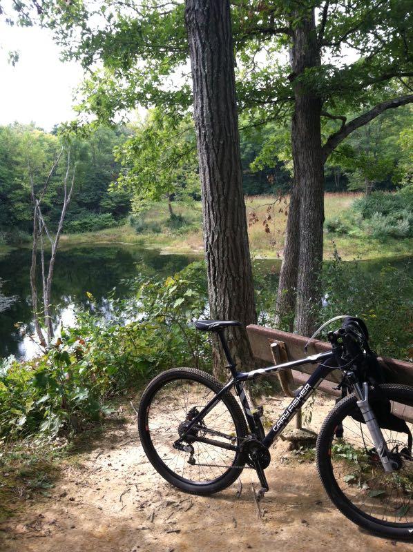 A mountain bike leaning against a wooden bench near a serene, reflective pond surrounded by lush greenery and tall trees. The scene captures a peaceful outdoor setting, ideal for biking and nature exploration. Kickapoo mountain bike trail.