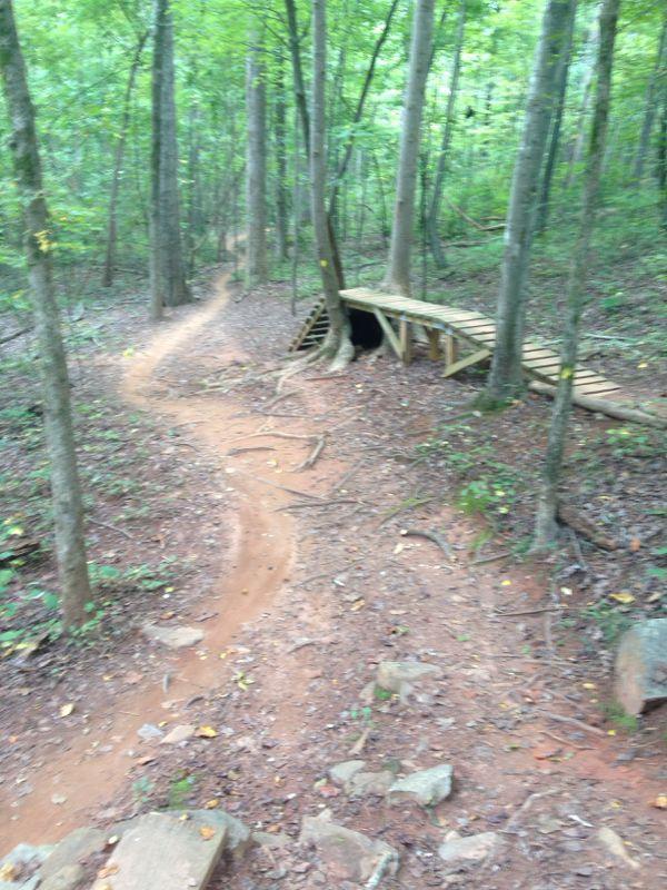 A winding dirt trail through a dense forest, featuring a wooden bridge that arches over a small dark tunnel. The scene is surrounded by lush green trees and foliage, with scattered rocks and fallen leaves on the forest floor. Sherman Branch Park Mtb Trail mountain bike trail.