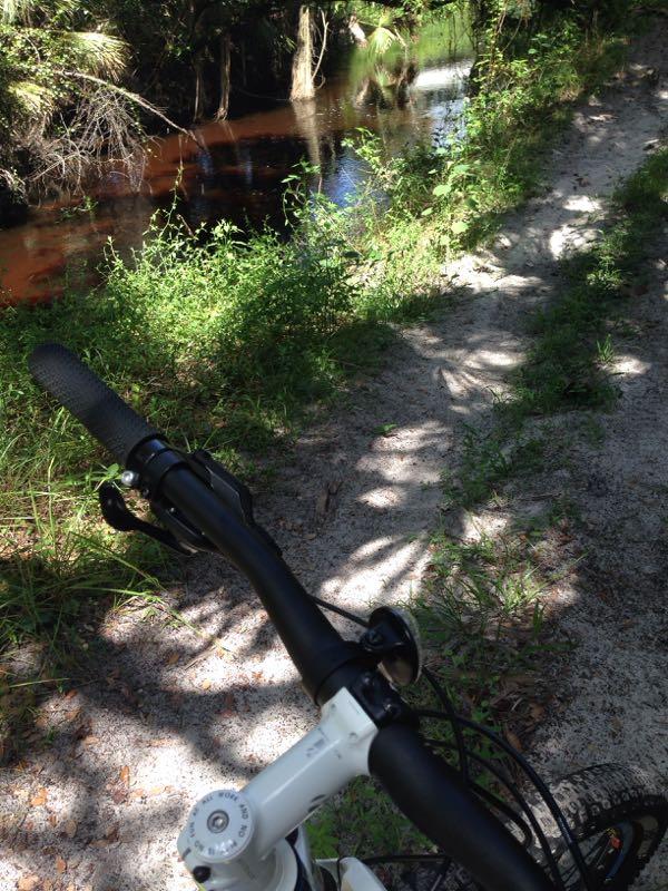 Alt tag: "Close-up view of a bicycle handlebar on a sandy trail beside a calm, wooded creek with lush greenery." North Port Mountain Bike Trails mountain bike trail.