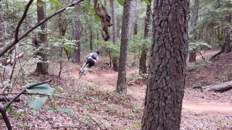 A person riding a mountain bike on a dirt trail through a dense forest, surrounded by tall trees and foliage. The cyclist is captured mid-motion, making a turn on the winding path, with leaves and branches in the foreground. Trail Creek Park mountain bike trail.
