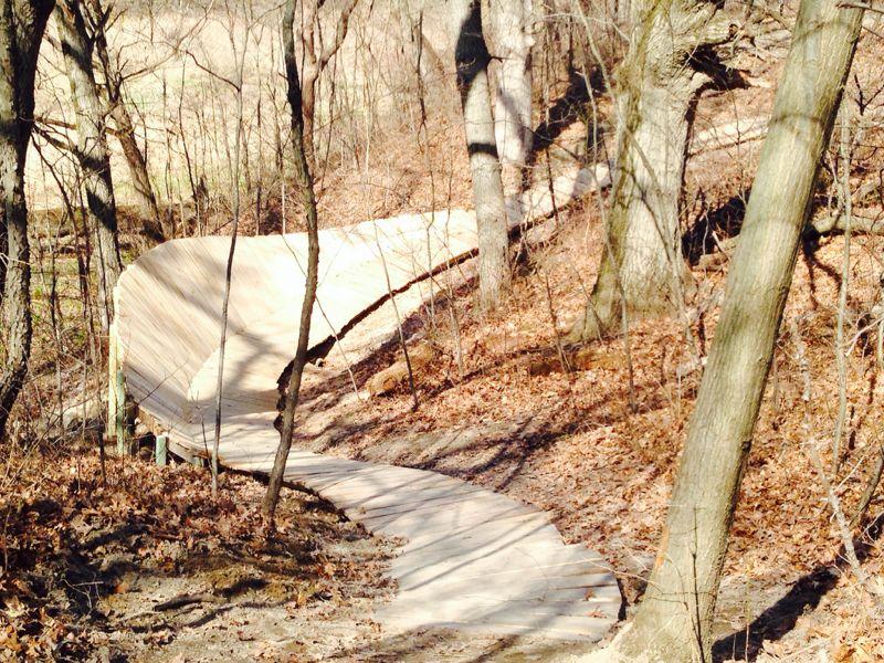 Winding wooden pathway through a forested area with leafless trees and fallen leaves on the ground, creating a natural trail. Outback Trail at Imagination Glenn mountain bike trail.