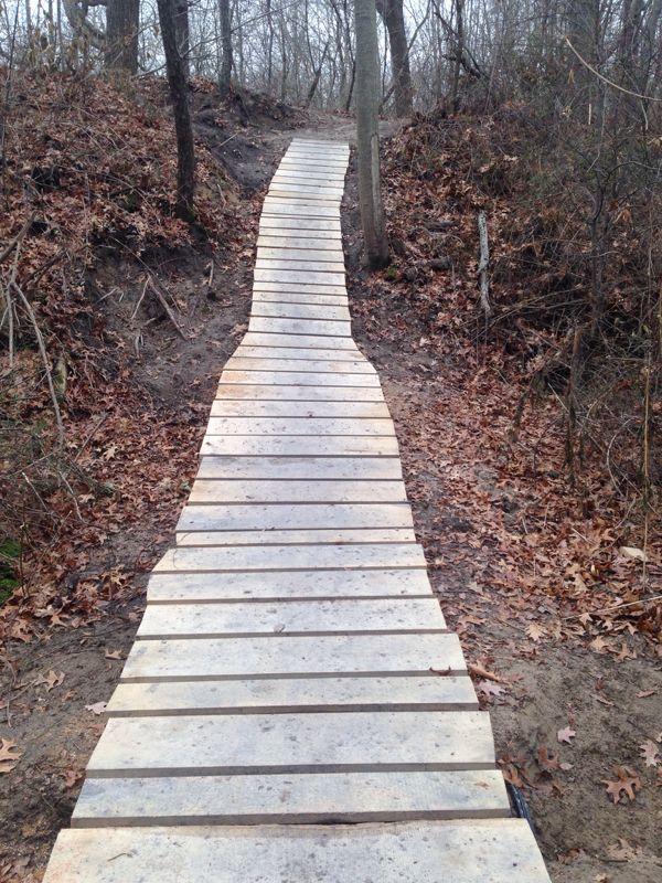 Wooden pathway winding through a wooded area, surrounded by fallen leaves and trees, leading up a slight incline. Outback Trail at Imagination Glenn mountain bike trail.