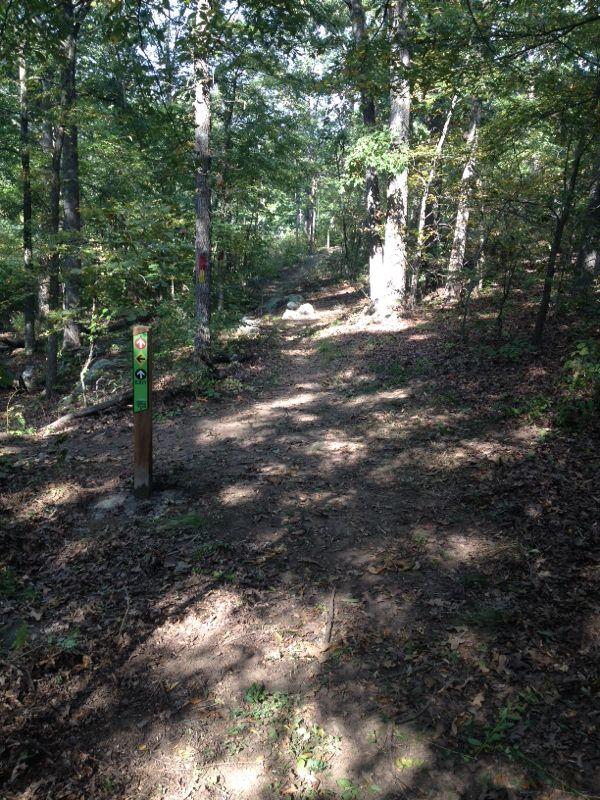 A dirt trail winding through a wooded area, surrounded by trees with green foliage. A wooden signpost with green markings indicating trail directions is visible in the foreground. Sunlight filters through the leaves, casting dappled shadows on the ground. Stones and fallen leaves are scattered along the path. Claremore mountain bike trail mountain bike trail.