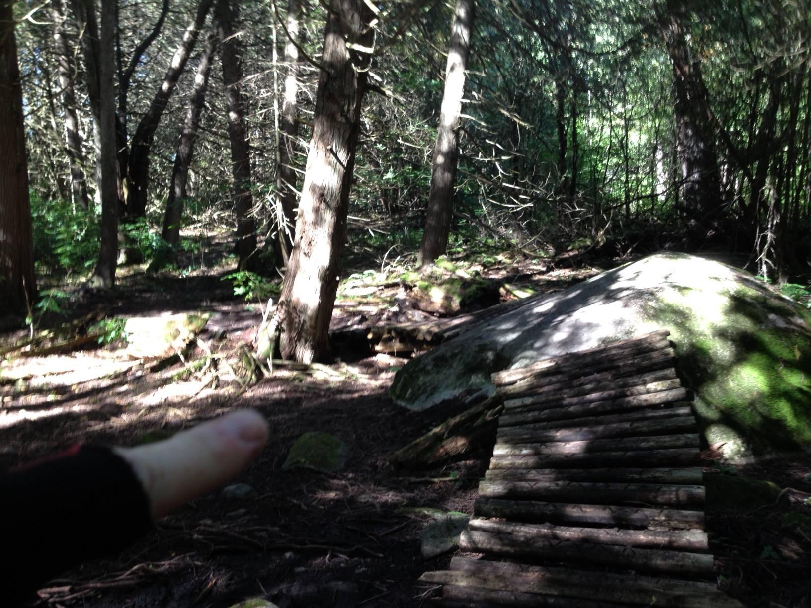A dimly lit forest scene featuring tall trees and a large mossy rock. In the foreground, there is a wooden bridge made from logs, leading into the woods. A finger is pointed towards the right side of the image, directing attention to the forest path. Sunlight filters through the trees, creating a dappled light effect on the ground. Harold Town Ca mountain bike trail.