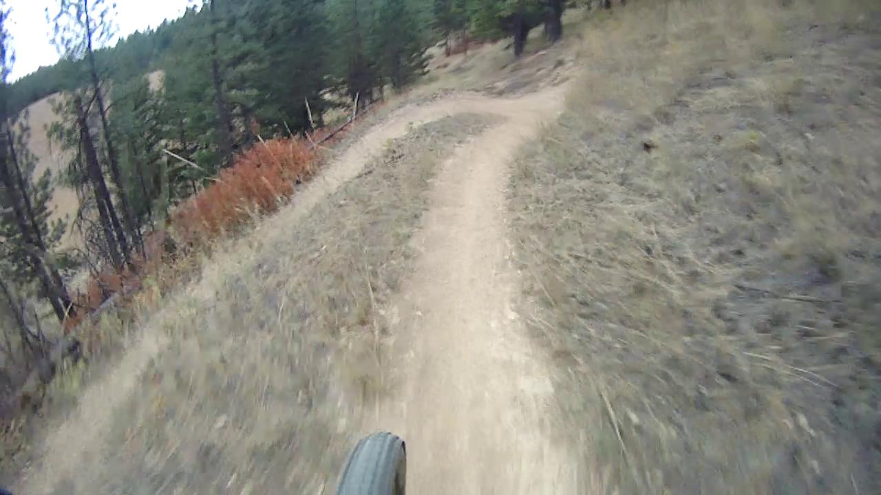 A winding dirt mountain bike trail surrounded by trees and dry grass, seen from the perspective of a cyclist. The trail curves slightly to the right, leading into a forested area. Rattlesnake mountain bike trail.