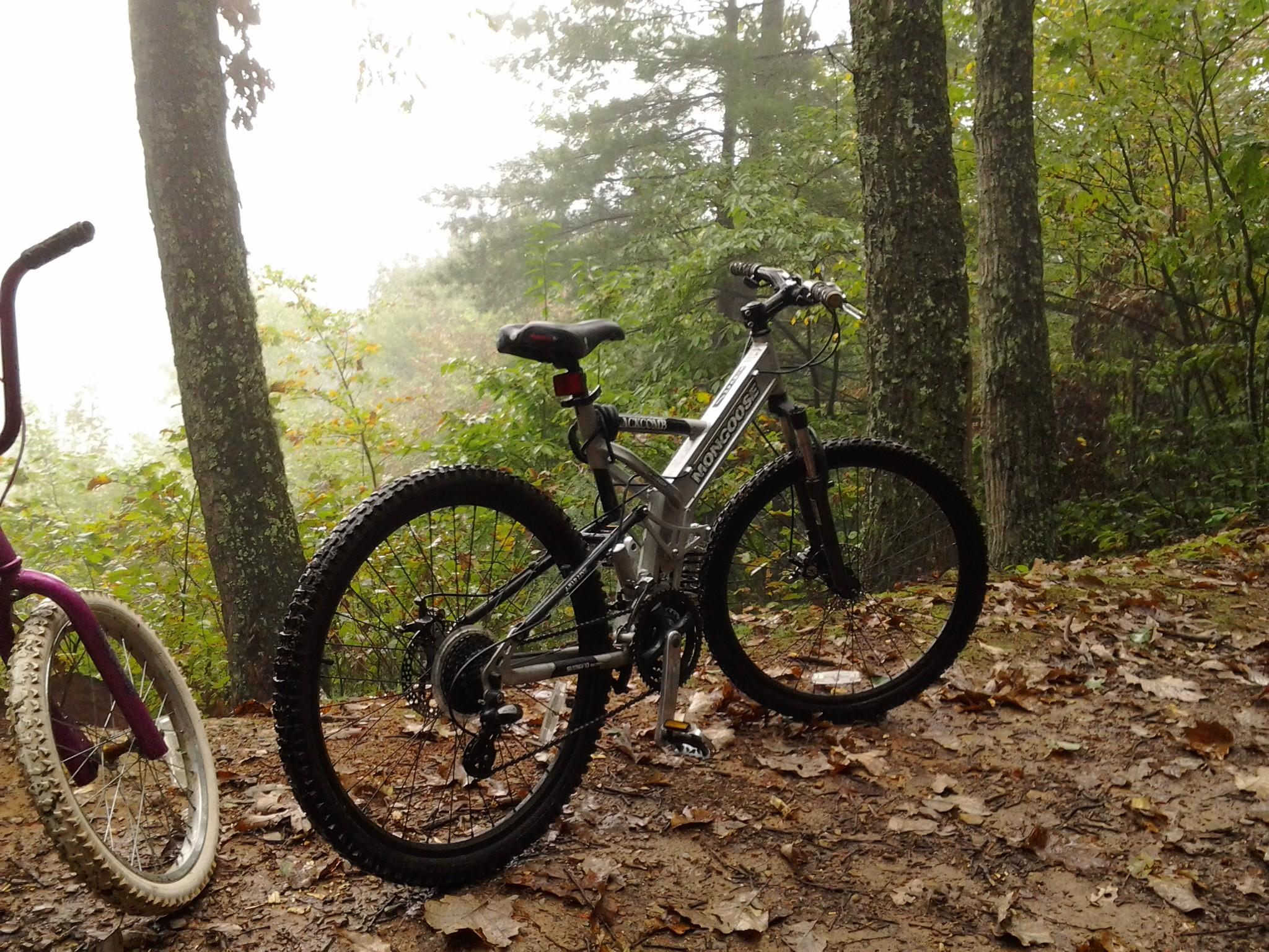 Mountain bike parked on a dirt trail surrounded by trees and foliage, with a foggy background. Another bike is partially visible on the left, and fallen leaves cover the ground.
