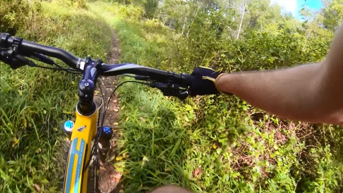 Close-up view of a mountain bike's handlebars on a narrow dirt trail surrounded by tall grass and greenery, with one hand gripping the handlebar and the other reaching out slightly. The scene captures the essence of off-road biking in a natural setting. Gunpowder Falls State Park mountain bike trail.