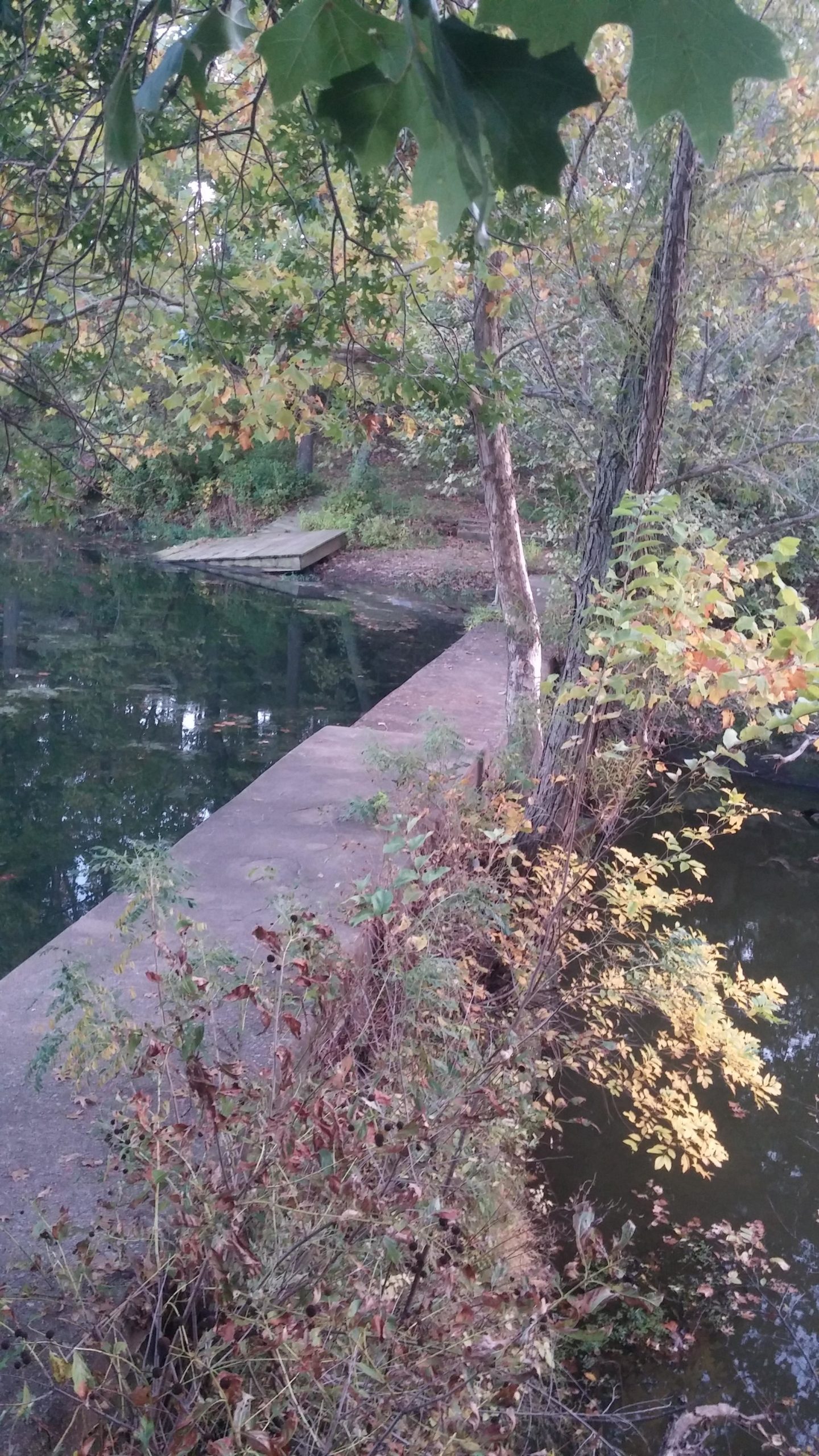 A serene view of a tranquil stream surrounded by lush greenery and trees. A concrete walkway lined with plants runs alongside the water, while a small wooden platform juts out into the stream. Fall foliage adds touches of yellow and orange to the landscape. Claremore mountain bike trail mountain bike trail.