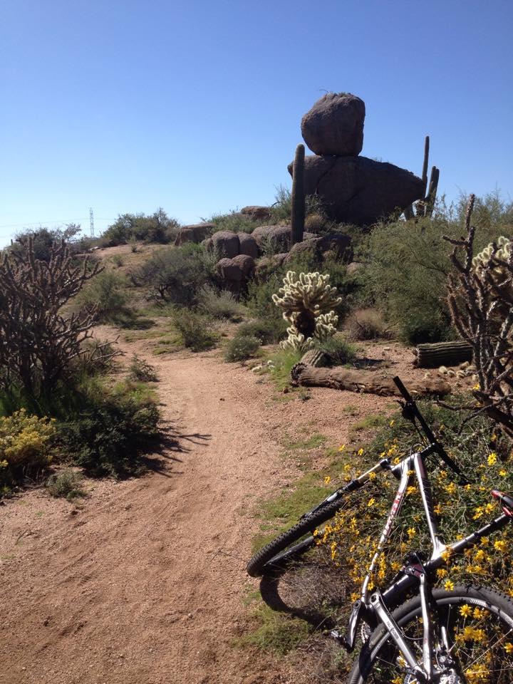 A dirt path winding through a desert landscape, flanked by various desert plants and cacti. A mountain bike is leaning against the ground near the path, with yellow wildflowers and rocky formations visible in the background under a clear blue sky. Granite Mountain Ranch mountain bike trail.