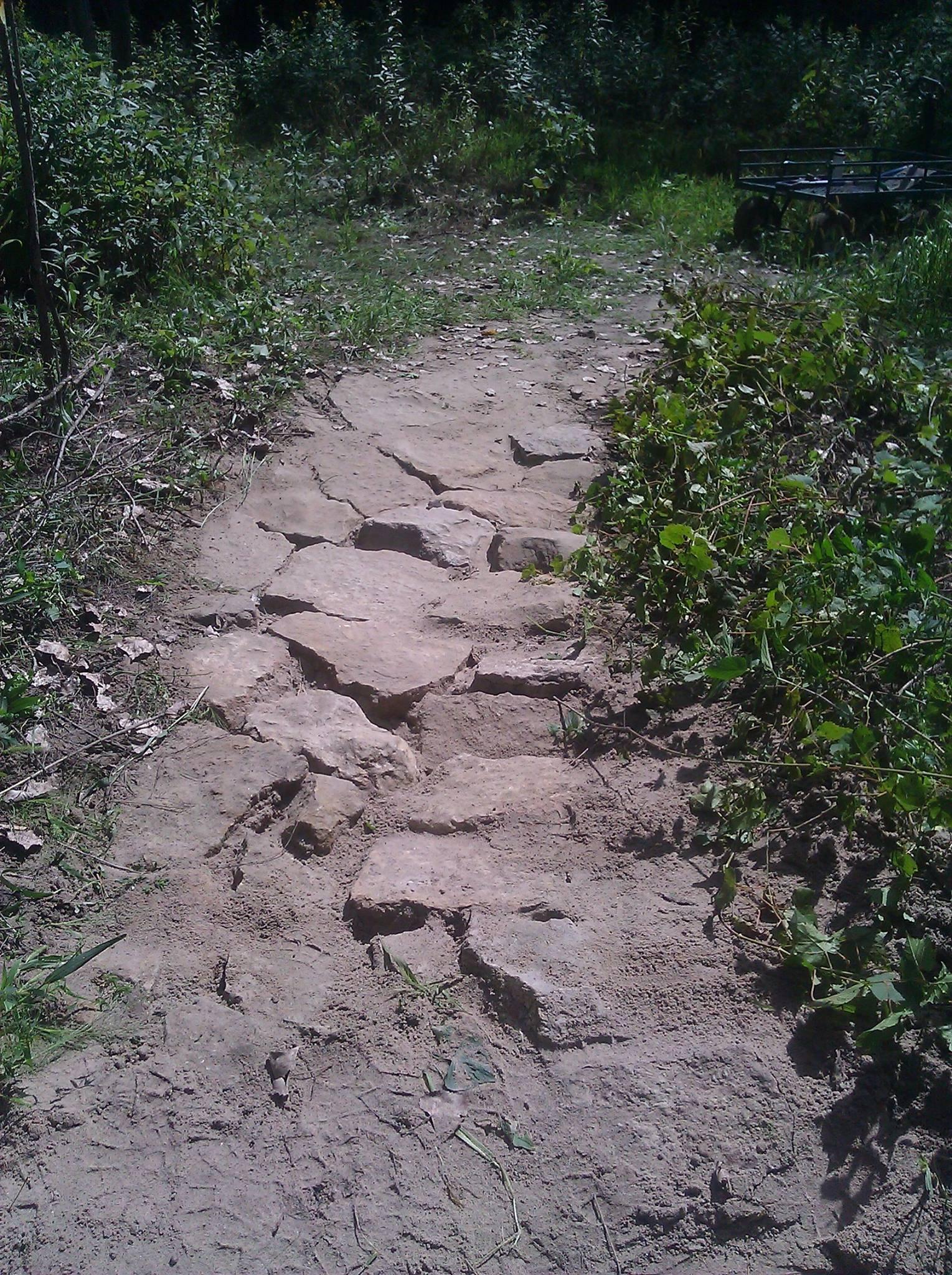 A rocky pathway winding through a natural landscape, with patchy grass and vegetation on either side. The path consists of uneven stones and dry soil, leading into a green area surrounded by shrubs and trees. Kiwanis - Mankato mountain bike trail.