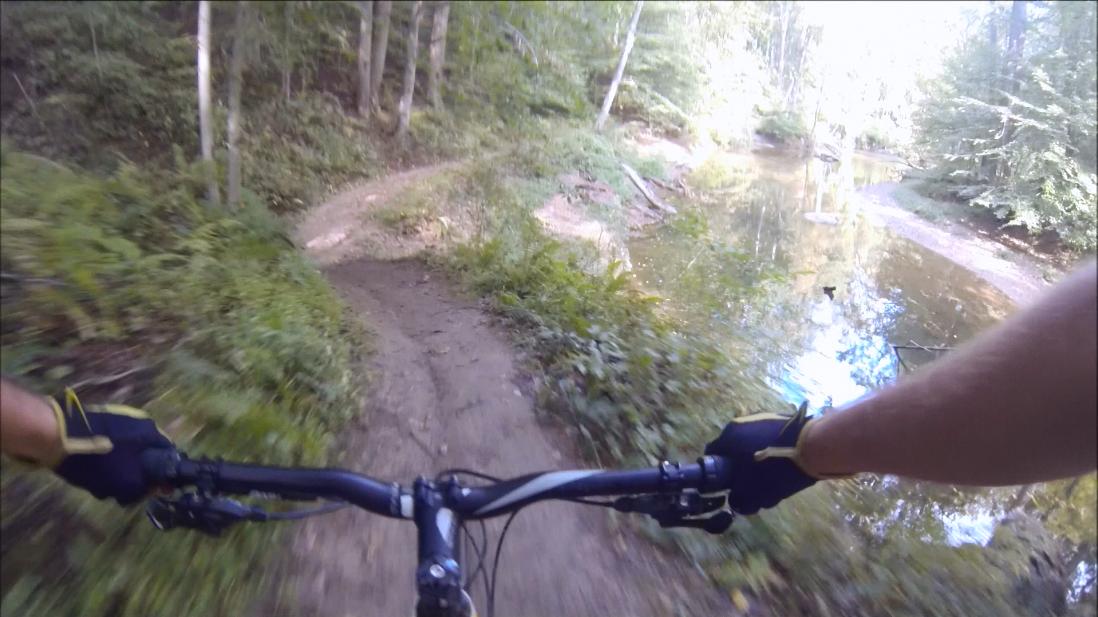 A close-up view of a mountain biker's hands on the handlebars while navigating a dirt trail adjacent to a calm river, surrounded by lush greenery and trees. The path curves to the left, showcasing a mix of dirt and grass along the bank. Gunpowder Falls State Park mountain bike trail.