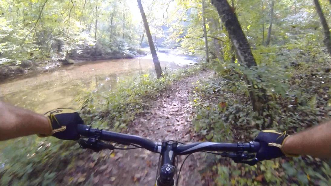 Mountain bike handlebars viewed from a rider's perspective, navigating a dirt path alongside a tranquil stream surrounded by lush greenery and trees. The scene captures the essence of outdoor adventure in a forested area, with fallen leaves scattered along the trail. Gunpowder Falls State Park mountain bike trail.
