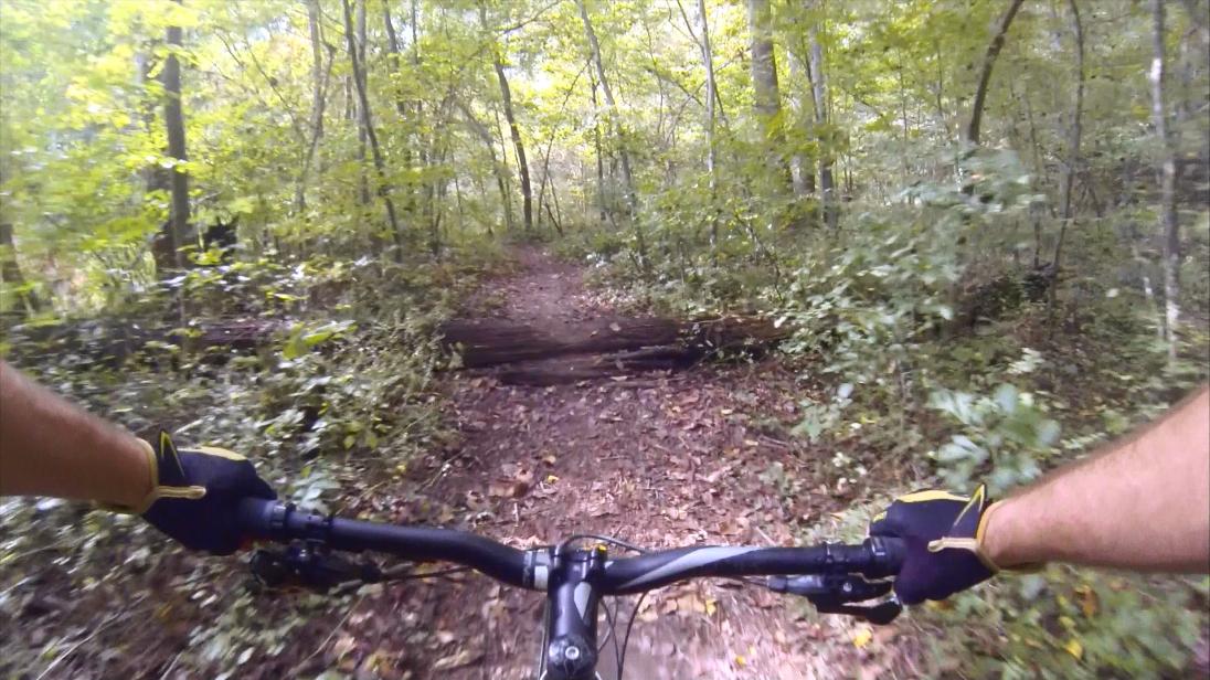 A view from the handlebars of a mountain bike on a narrow dirt trail surrounded by lush green trees, with fallen logs and scattered leaves on the ground. Gunpowder Falls State Park mountain bike trail.