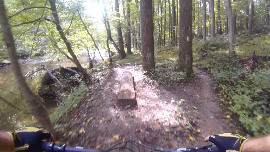 Mountain biking path through a wooded area, featuring a dirt trail bordered by trees and a small log obstacle. Sunlight filters through the leaves, casting dappled light on the ground. The perspective suggests a rider in motion, with hands gripping the bike handlebars and a glimpse of a yellow glove. In the background, a tranquil water body is visible alongside the path. Gunpowder Falls State Park mountain bike trail.