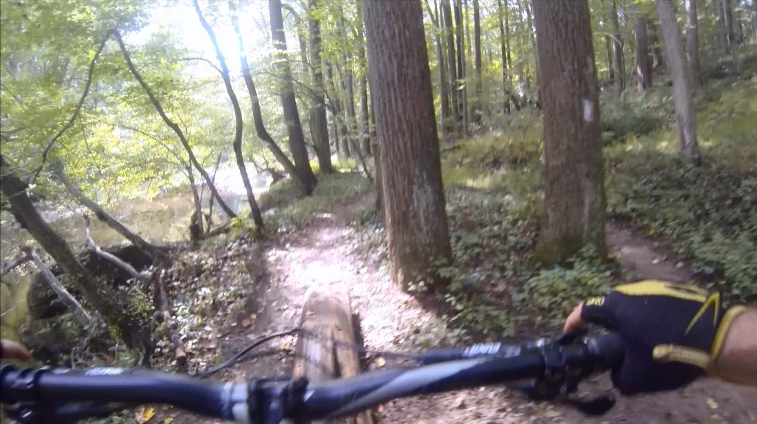 A close-up view of a mountain biker's hands gripping the handlebars on a forest trail, with trees and greenery lining the path and a glimpse of water visible through the foliage. Gunpowder Falls State Park mountain bike trail.