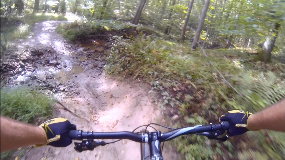 A close-up view of a mountain biker’s handlebars as they navigate a rocky and muddy trail through a dense forest. The image captures the natural surroundings, including green foliage, trees, and a winding path ahead. Gunpowder Falls State Park mountain bike trail.