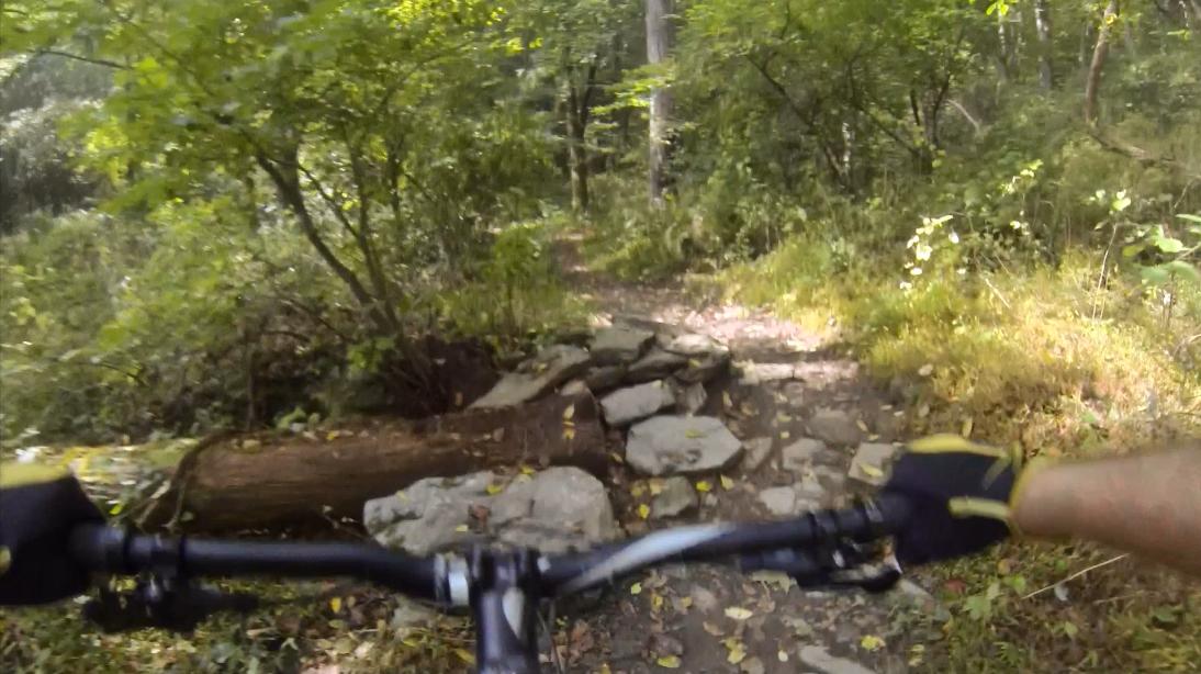 A view from a mountain bike perspective on a narrow, rocky trail surrounded by lush greenery. The handlebars of the bike are visible, along with a hand wearing a glove, as the trail features natural obstacles like stones and a fallen log. The vibrant foliage suggests a warm, sunny day in a forested area. Gunpowder Falls State Park mountain bike trail.