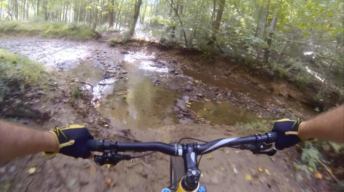 A mountain biker's perspective as they navigate a rocky section near a shallow creek in a dense forest. The handlebars are visible in the foreground, and the trail appears muddy and uneven, surrounded by lush green foliage. Gunpowder Falls State Park mountain bike trail.