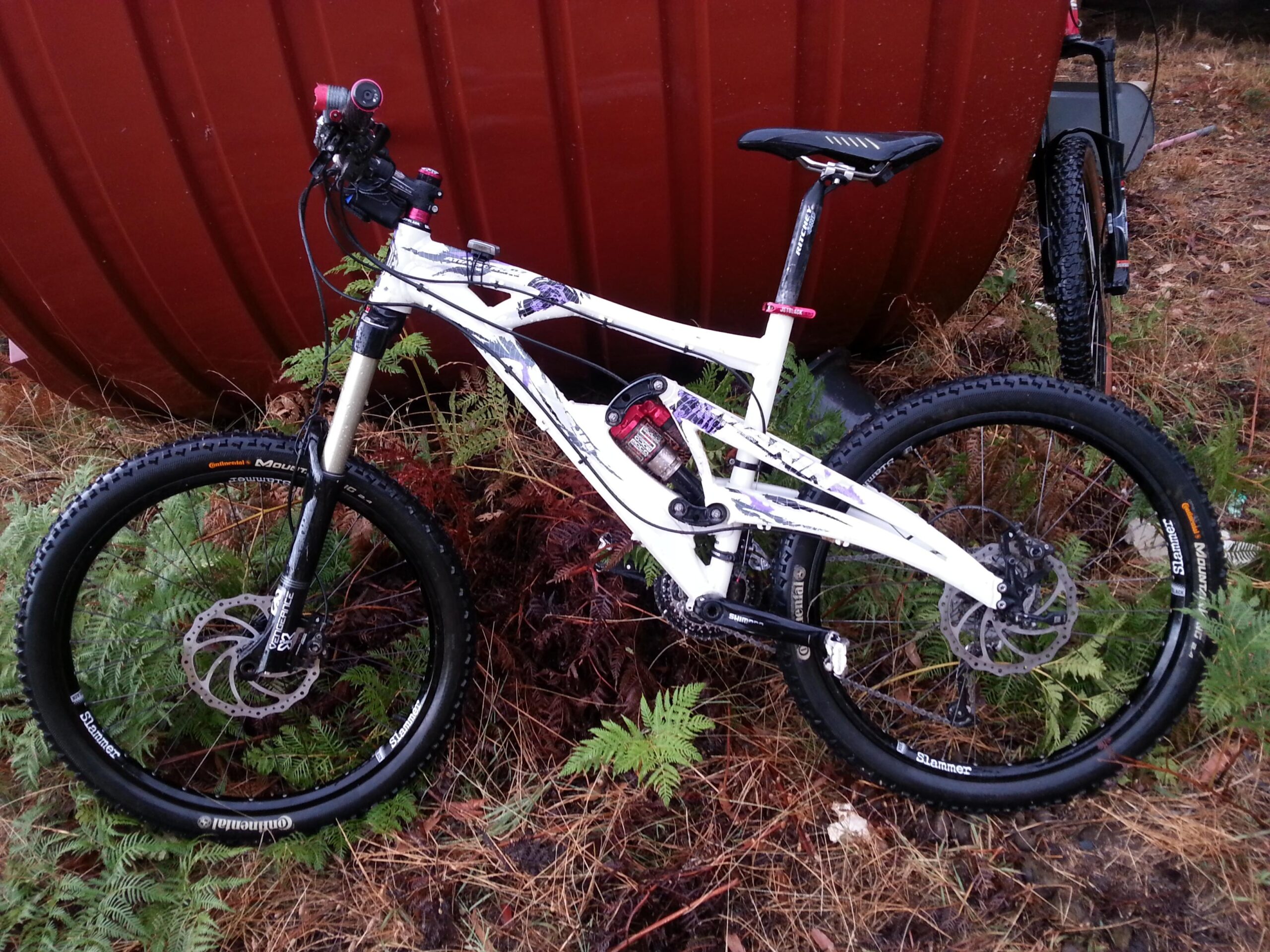 Marin Attack Trail 6.7: A mountain bike with a white frame and black tires is positioned on a bed of ferns and dry grass. The bike features a front suspension fork, disc brakes, and has a bike light mounted on the handlebars. A large red cylindrical object is visible in the background, partially obscured by the surrounding vegetation.