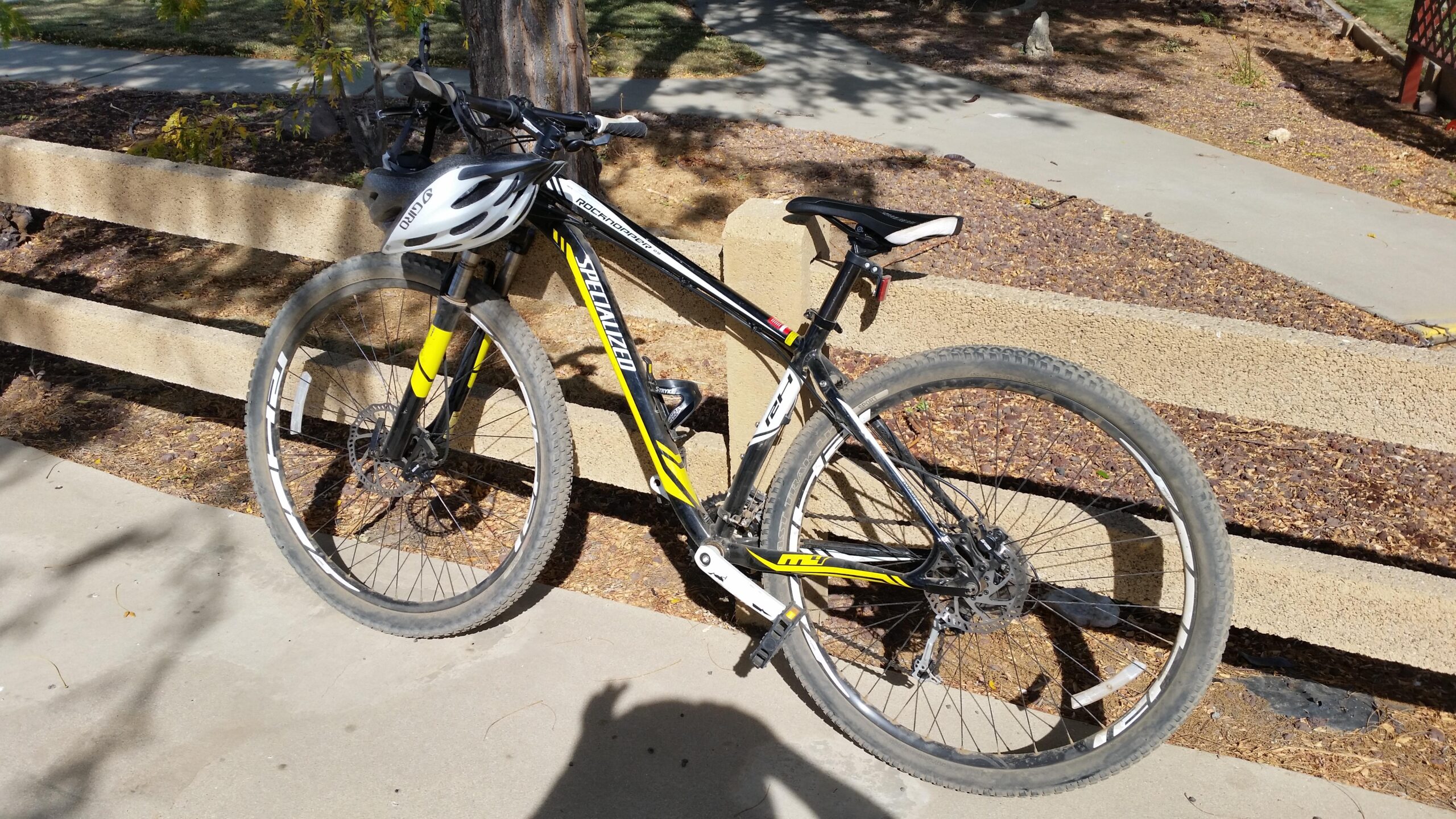 Specialized Rockhopper: A mountain bike with black and yellow accents is leaning against a concrete railing. The bike features thick tires and a white helmet resting on the handlebars. Surrounding the bike are textured surfaces and patches of grass, suggesting an outdoor setting.