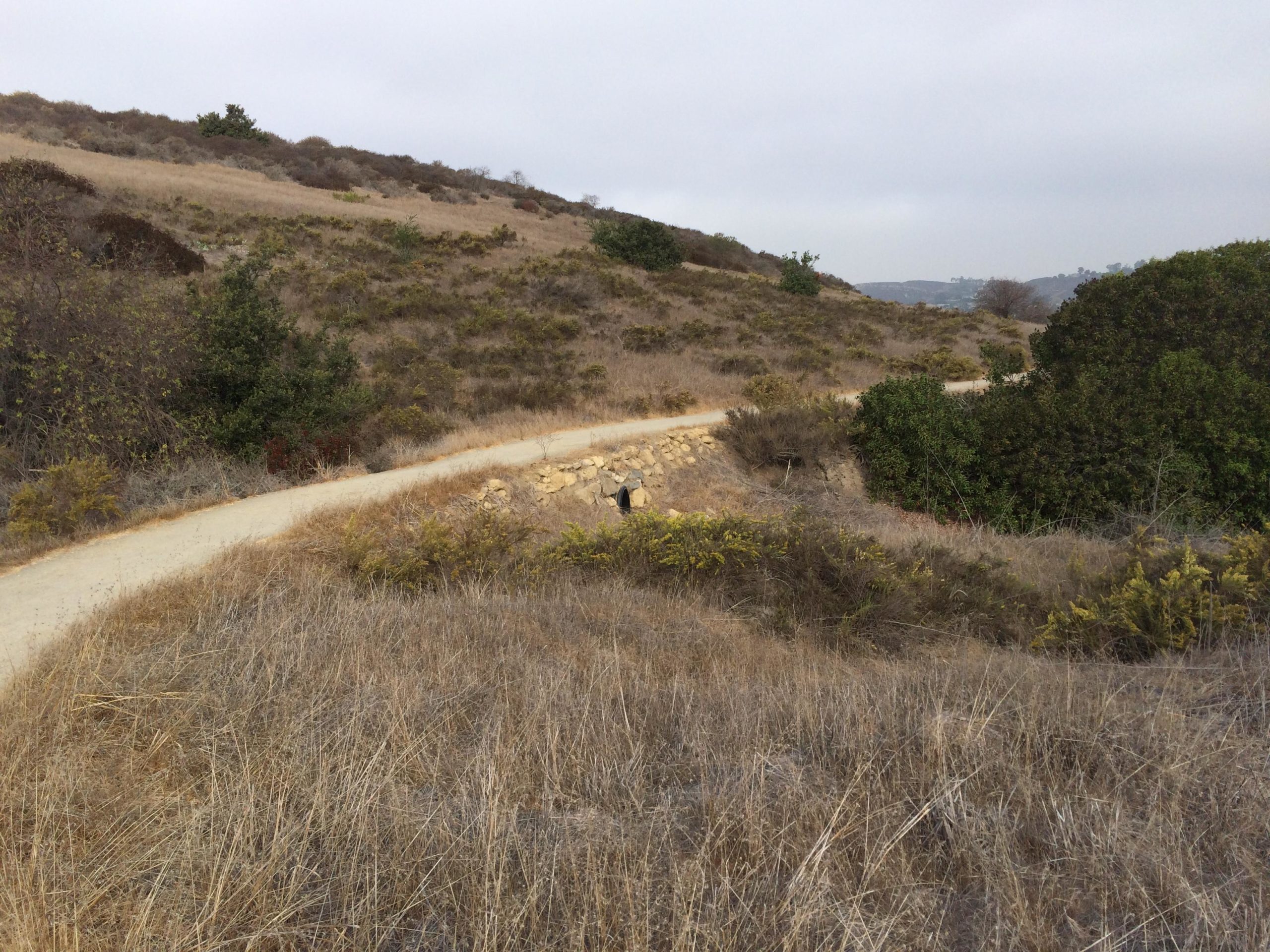 A winding dirt path curves through a dry, grassy landscape dotted with shrubs and small trees, under a cloudy sky. The terrain features gentle hills, with a solitary figure visible on the path in the distance. Nature Loop mountain bike trail.
