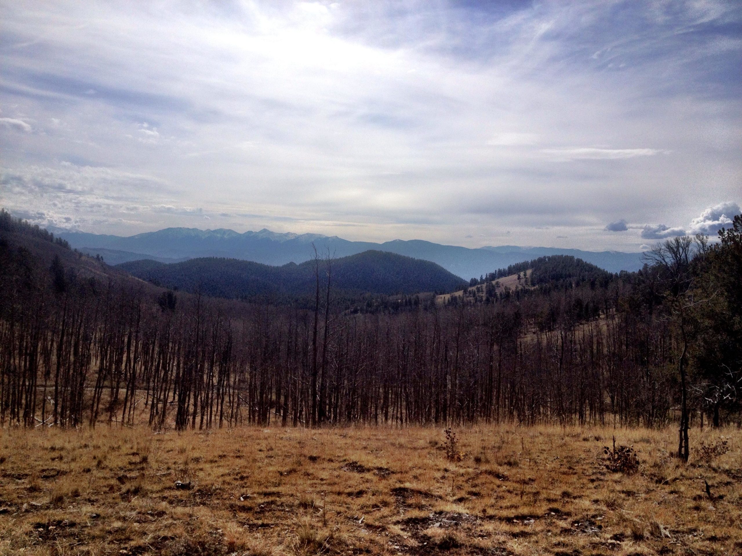Mountain landscape with a mixture of rocky terrain and sparse trees, against a backdrop of distant mountains and a cloudy sky. The foreground features dry grass and remnants of tree stumps, creating a natural yet rugged environment. Aspen Ridge / Road #185 mountain bike trail.