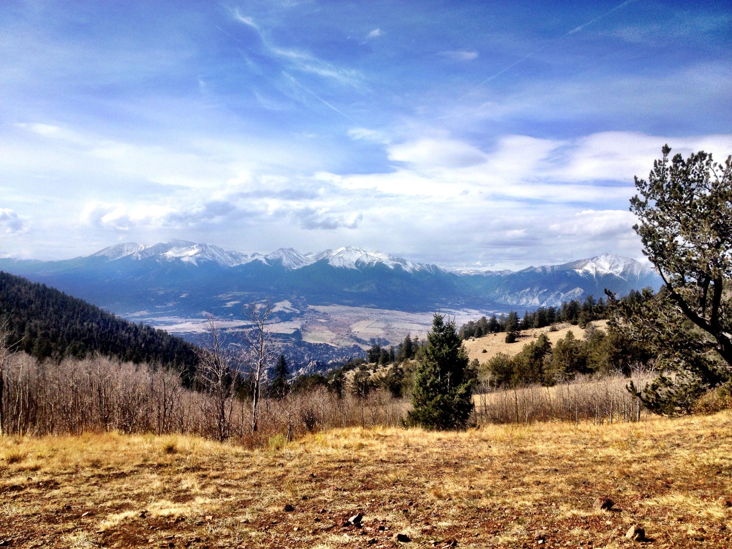 A scenic view of snow-capped mountains under a blue sky with scattered clouds, overlooking a valley filled with patches of greenery and dry grassland. Pine trees are visible in the foreground, enhancing the natural landscape. Aspen Ridge / Road #185 mountain bike trail.