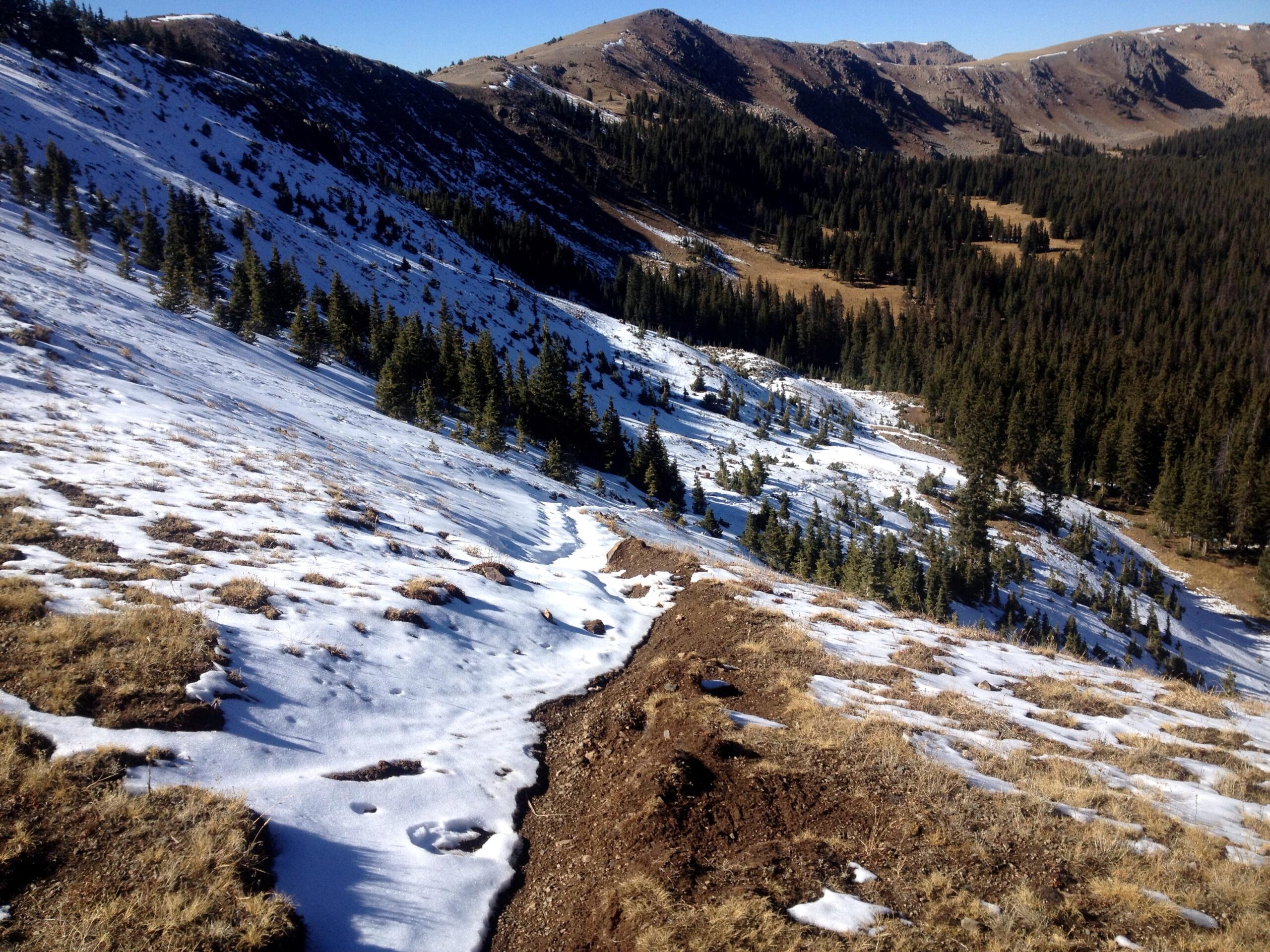 A scenic view of a mountainous landscape featuring a mix of snow-covered ground and grassy patches. Evergreen trees line the slopes, and rolling hills can be seen in the background under a clear blue sky. A dirt path winds through the snow, leading into the distance. Colorado Trail: Fooses Creek mountain bike trail.