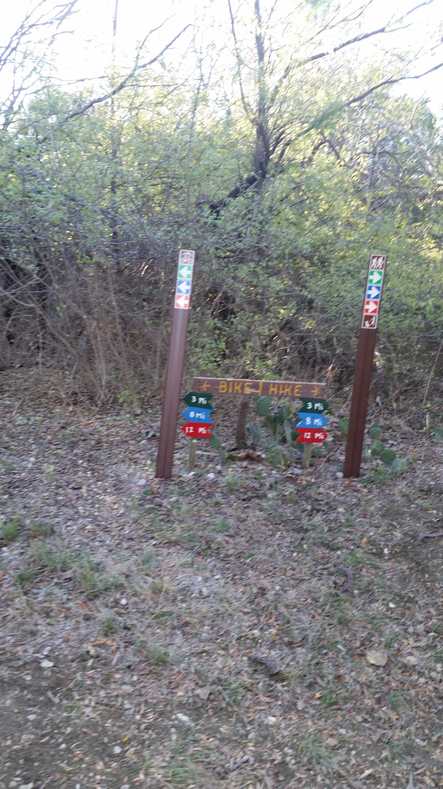 Trail sign indicating biking and hiking paths, with distance markers for 3, 8, and 12 miles, surrounded by greenery and underbrush. Cedar Hill State Park At Joe Pool Lake mountain bike trail.